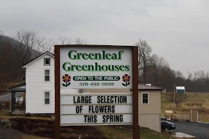 Greenleaf Greenhouses image