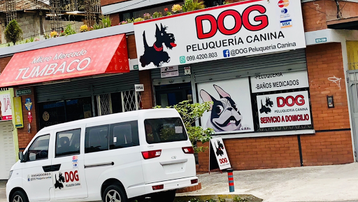 DOG PELUQUERIA CANINA