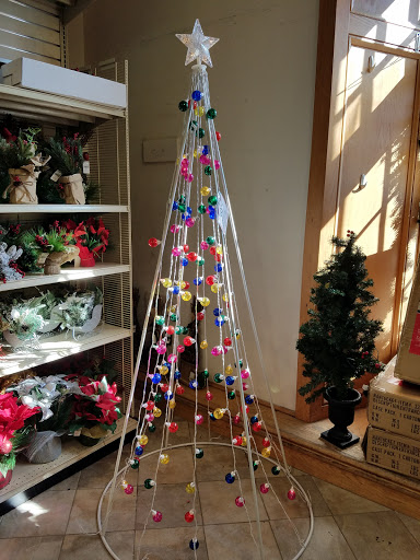 Home Goods Store «Christmas Tree Shops», reviews and photos, 1000 Boston Turnpike, Shrewsbury, MA 01545, USA