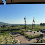 Photo n°4 de l'avis de Martha.t fait le 13/09/2023 à 12:18 sur le  ebanat - Restaurant im Weingut Kopp à Baden-Baden