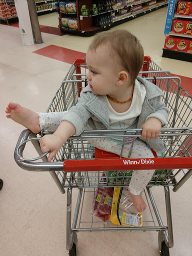 Grocery Store «Winn-Dixie», reviews and photos, 3250 US-27, Sebring, FL 33870, USA