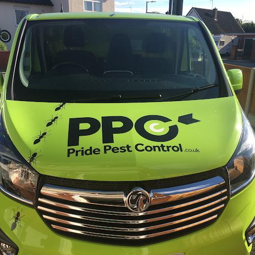 Pride Pest Control Nottingham - Pest control service