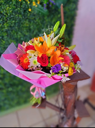 Protea floristería