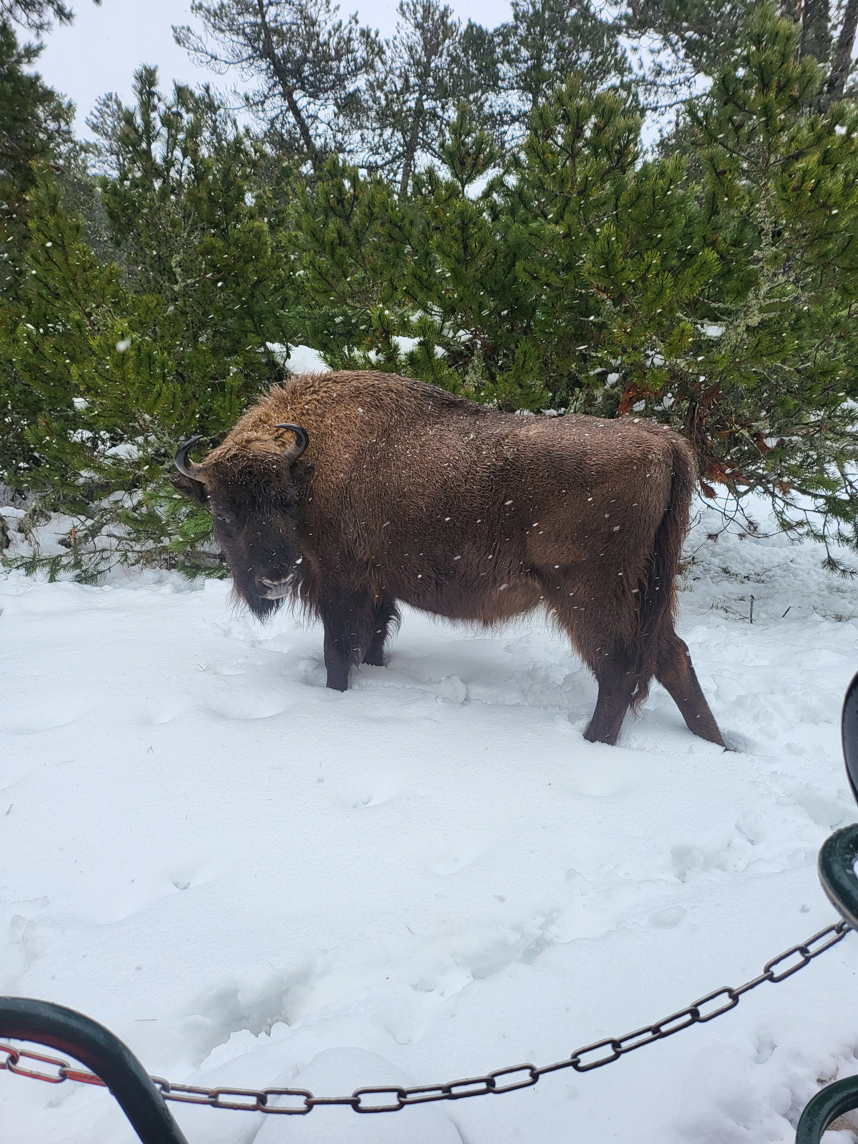 Photo n° 1 de l'avis de MA.U fait le 11/03/2024 à 10:23