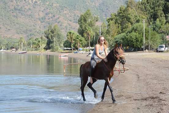 Marmaris horse safari and beach riding