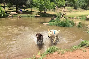Waterkloof Dog Park image