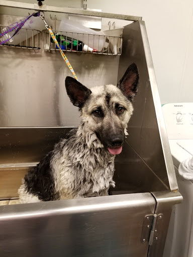 Pet Supply Store «Pet Club Waddell», reviews and photos, 13954 W Waddell Rd #116, Surprise, AZ 85379, USA