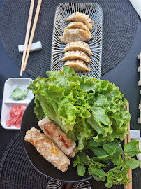 Plats et boissons du Restaurant de sushis Sushi Manga à La Roquette-sur-Siagne - n°2