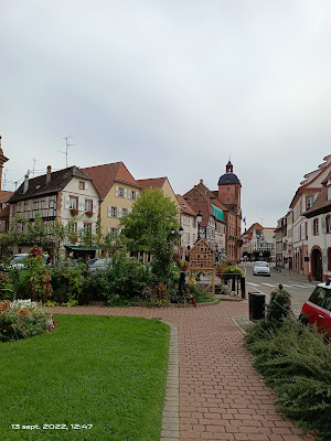 Rustique Flor à Wissembourg
