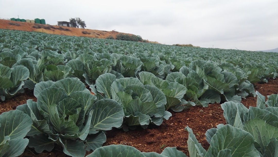 Mbaliyesizwe Farm