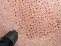 The Skin Lounge, LLC - Photo 8 - Car repair in Fort Collins, CO, Fort Collins