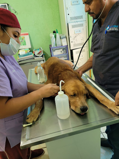 Clínica veterinaria Pet's Cruz