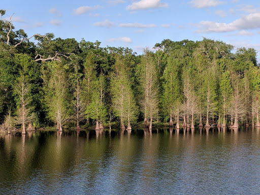 Park «Kapok Park», reviews and photos, 2950 Glen Oak Ave N, Clearwater, FL 33759, USA