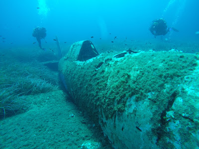 Centre de Plongée Calypso Marine Erbalunga Cap Corse à Brando