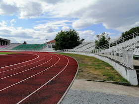 Стадион Елена