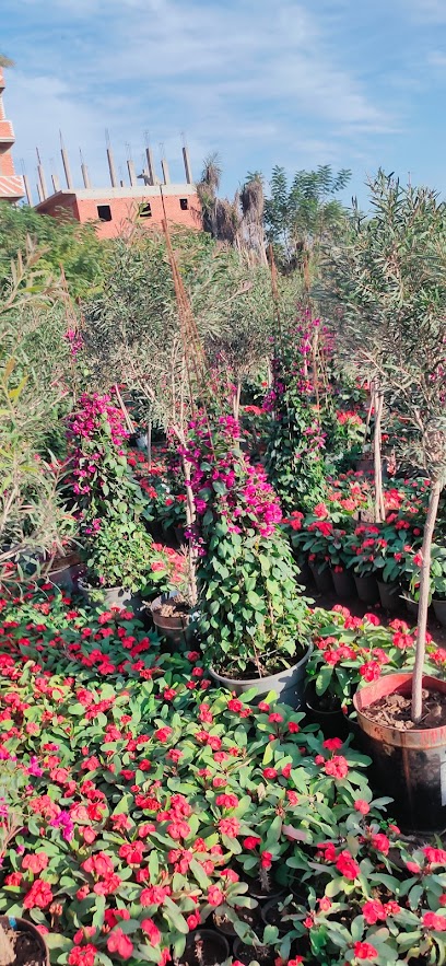 مجموعه مشاتل الجوهري للنباتات الزينه