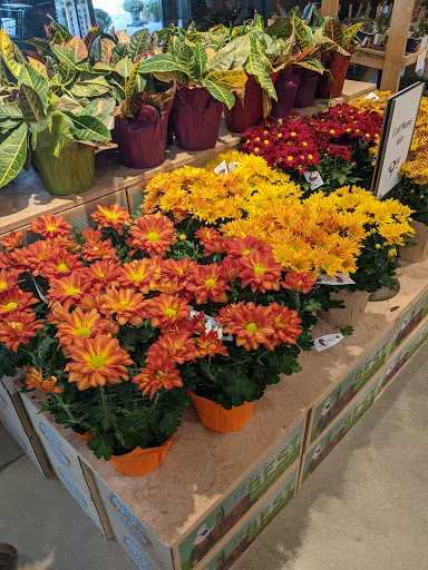 Grocery Store «Whole Foods Market», reviews and photos, 1380 E 70th St, Shreveport, LA 71105, USA