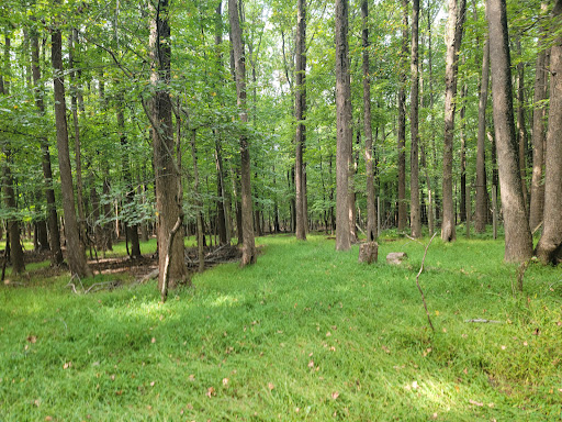 State Park «Clay Pit Ponds State Park Preserve», reviews and photos, 83 Nielsen Ave, Staten Island, NY 10309, USA