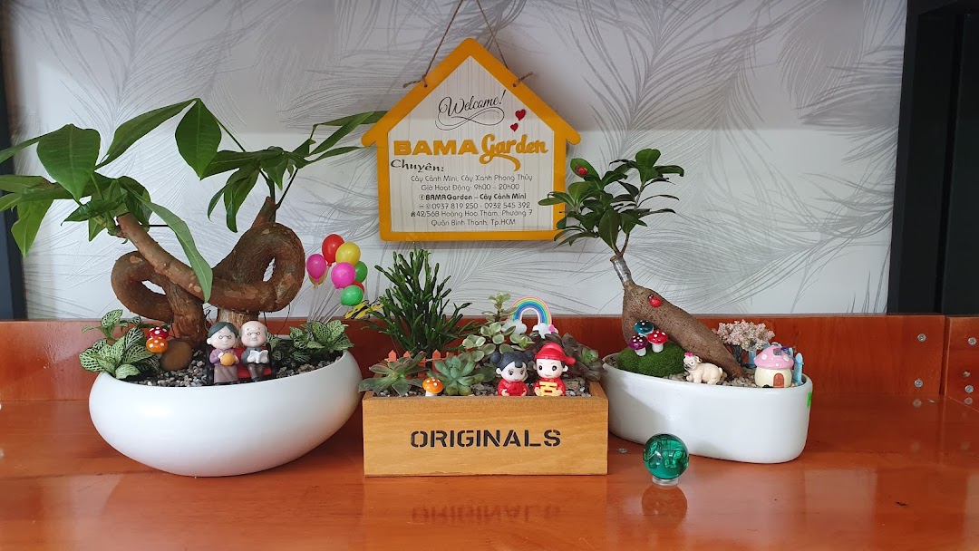 BAMA Garden - Cây cảnh mini