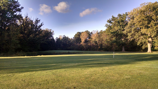Golf Course «Thorne Brothers at Lilac Golf Course», reviews and photos, 9090 Armstrong Rd, Newport, MI 48166, USA