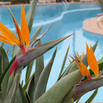 Photo n°26 de l'avis de Klaus.. fait le 27/09/2020 à 07:04 sur le  Hotel Clube Porto de Mós - SunPlace Hotels & Beach Resorts à Lagos