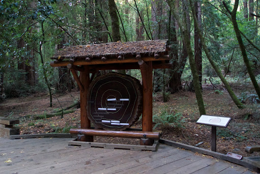 Gift Shop «Muir Woods Trading Company», reviews and photos, 1 Muir Woods Rd, Mill Valley, CA 94941, USA