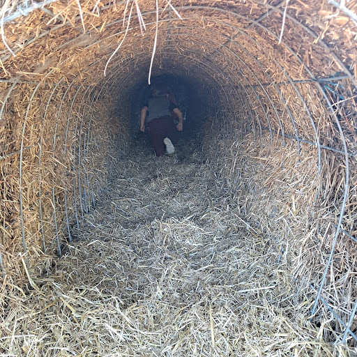 Farm «Bottom View Farm», reviews and photos, 185 Wilkerson Ln, Portland, TN 37148, USA