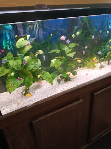 Tropical Fish Store «Top Hat Aquarium», reviews and photos, 18710 SW 107th Ave, Cutler Bay, FL 33157, USA