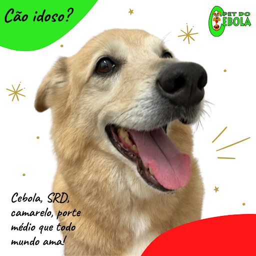 Pet Shop - Pet do Cebola em São Paulo - SP