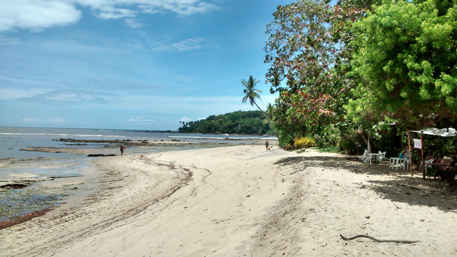 Praia de Ilha de Boipeba的照片 带有明亮的沙子表面