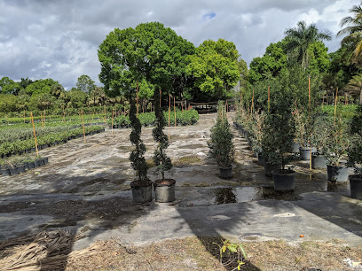 Palm City Tree Farm