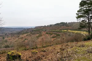 National Trust - Hindhead Commons and the Devil's Punch Bowl Cafe image