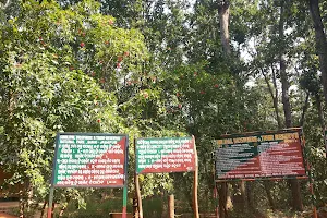 Similipal Tiger Reserve image