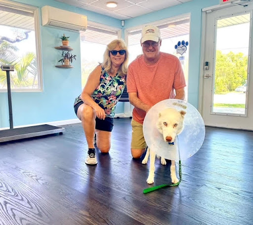 trueVETS Melbourne image