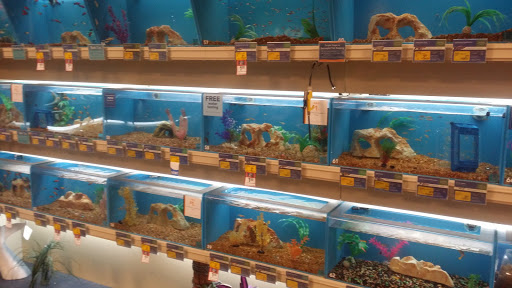 Pet Supply Store «PetSmart», reviews and photos, 4200 Derry St, Harrisburg, PA 17111, USA