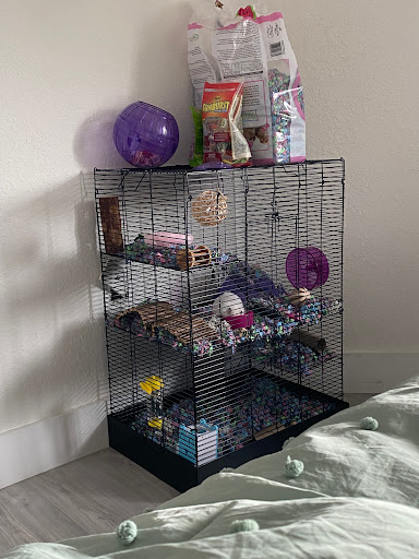 Pet Supply Store «PetSmart», reviews and photos, 14025 SW 88th St, Miami, FL 33186, USA