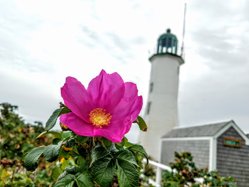 Tourist Attraction «Scituate Lighthouse», reviews and photos, 99 Lighthouse Rd, Scituate, MA 02066, USA