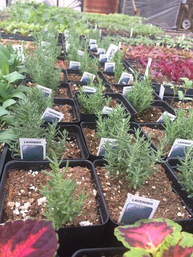 Produce Market «Highland Orchards Farm Market», reviews and photos, 1431 Foulk Rd, Wilmington, DE 19803, USA