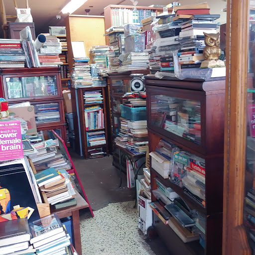 Book Store «Blue Moon Books Antiques & Music», reviews and photos, 1413 Cleveland St, Clearwater, FL 33755, USA