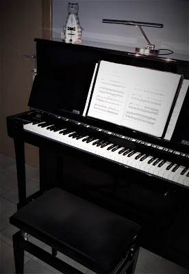 Megel Olivier Leçons de musique, piano à Jungholtz