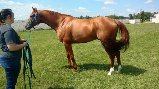 Event Venue «JACK Thistledown Racino», reviews and photos, 21501 Emery Rd, North Randall, OH 44128, USA