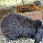 Photo n° 8 de l'avis de Micheline.e fait le 21/08/2021 à 06:54 pour Le Clos Bernard à Les Allues