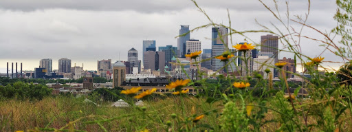 Park «Ridgway Parkway Park», reviews and photos, 3109 Ridgway Pkwy, Minneapolis, MN 55413, USA