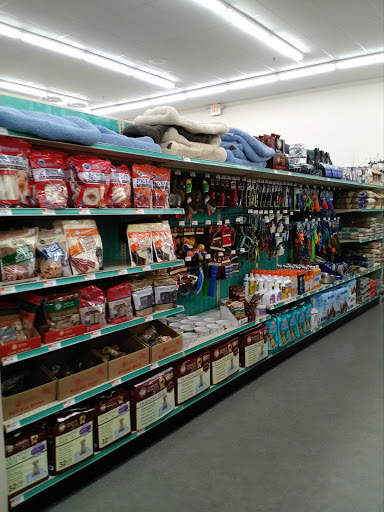 Discount Store «Big Lots», reviews and photos, 17510 N 75th Ave, Glendale, AZ 85308, USA