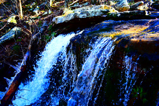 Nature Preserve «Little River Canyon National Preserve», reviews and photos, 4322 Little River Trail NE, Fort Payne, AL 35984, USA