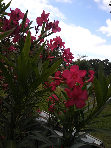 Park «Bob Eden Park», reviews and photos, 901 W Mid Cities Blvd, Euless, TX 76039, USA