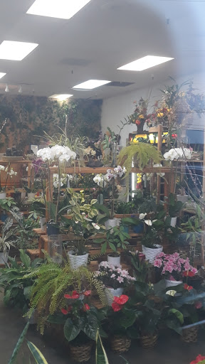 Florist «Joy Flower Shop», reviews and photos, 7630 Fair Oaks Blvd, Carmichael, CA 95608, USA