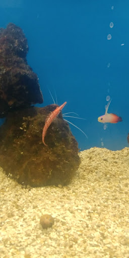 Pet Supply Store «Petco Animal Supplies», reviews and photos, 8775 SW Tualatin-Sherwood Rd, Tualatin, OR 97062, USA