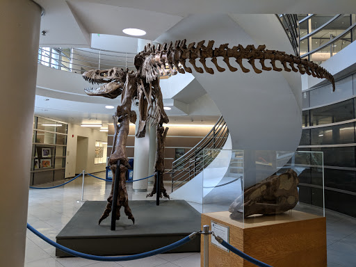 Natural History Museum «Museum of Paleontology», reviews and photos, 1101 Valley Life Sciences Bldg, Berkeley, CA 94720, USA