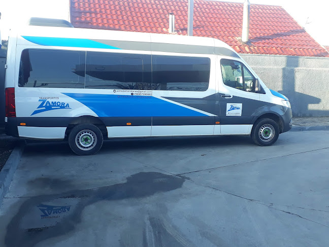 Transportes Zamora - Salamanca